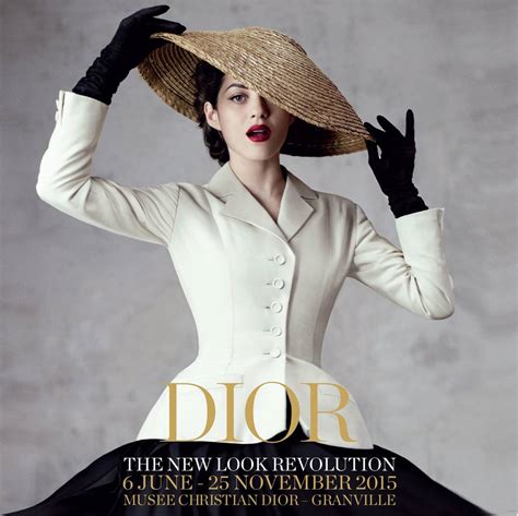 anouk smulders dior|the new look christian Dior.